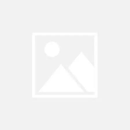 Mobil 2 Chambres, 6 Pers. A - Api-1-52-1640 Messanges (Landes)